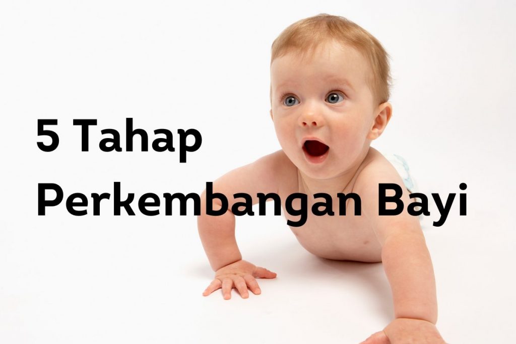 5 Tahap Panduan Perkembangan Bayi Usia 0-12 Bulan - Better Parent