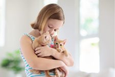 Cara Mengajari Anak Menyayangi Binatang